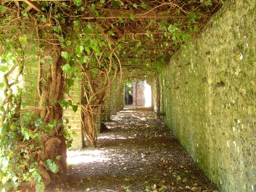 48-Garden today- Monks walk