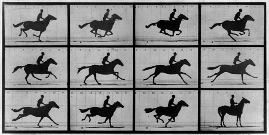 muybridge_galloping_horse