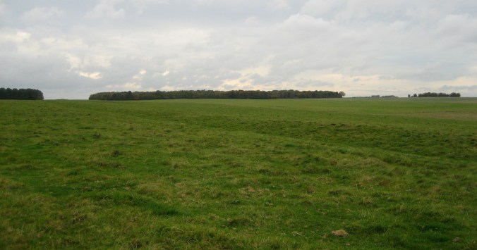 Stonehenge_Cursus